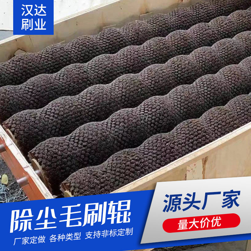 供应工业除尘毛刷辊 马毛毛刷辊猪鬃毛刷辊 不锈钢轴清洁滚筒刷丝
