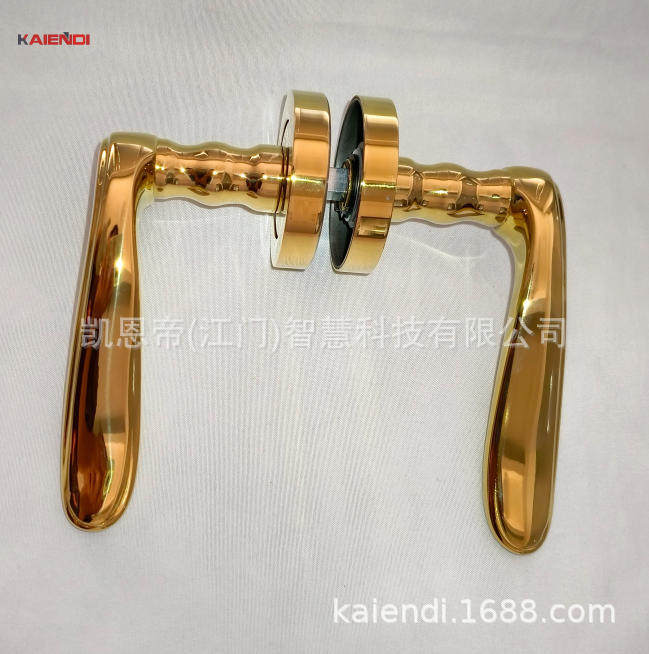 凯恩帝KAIENDI新款不锈钢轻奢风卧室门入户门门把手执手锁