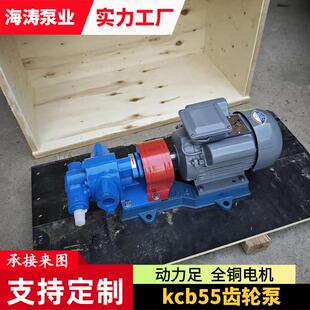 泊KCB55齿轮泵铸铁工业用泵输送润滑油类性能稳定内啮合