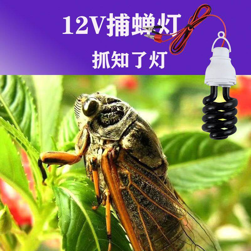 知了诱捕灯12V紫光抓知了灯蓝光户外电瓶捕蝉灯抓蝲蝲蛄鱼塘果园