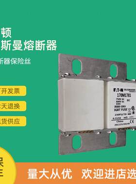 极速快速熔断器保险170M1739 170M1740 170M17O41 170M1742议价
