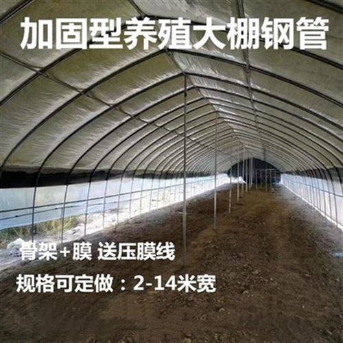 极速耐用大棚钢管骨架蔬菜农w用养鸡场养鸡抗风设备养羊棚架.鸭子,农机/农具/农膜,温室大棚支架,淘宝优惠券,粉丝福利购,淘宝优惠卷