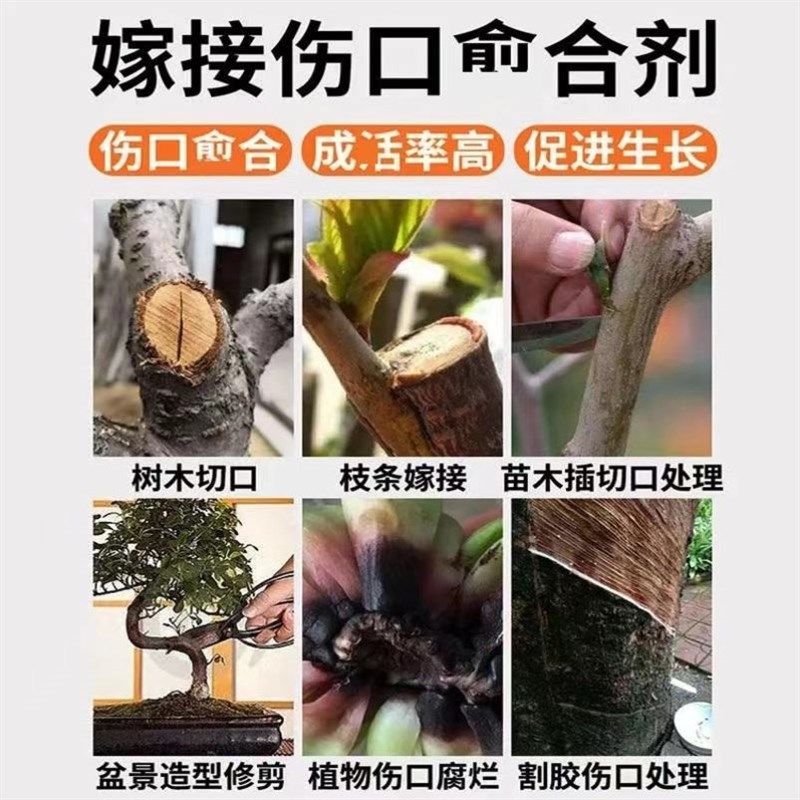 极速植物嫁接伤口俞合p剂果树木t神器切口封口修复涂抹盆栽景花卉,农用物资,树皮伤口愈合剂/涂膜剂,淘宝优惠券,粉丝福利购,淘宝优惠卷
