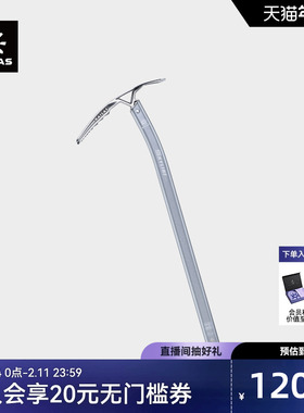 KAILAS凯乐石 Skyline Pro 天际线 技术登山冰镐65cm EI402D