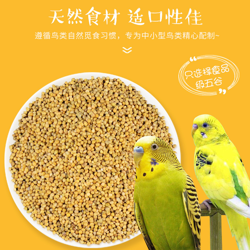 现货速发虎皮鹦鹉饲料粮食鸟粮黄谷子带壳鸟食玄凤食物牡丹食粮12