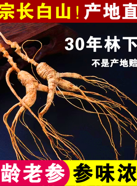 长白山人参约30年林下参林下野山参整枝健康礼品煲汤补品泡酒材料