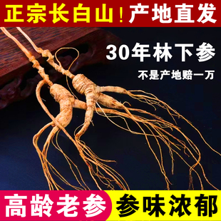 长白山人参约30年林下参林下野山参整枝健康礼品煲汤补品泡酒材料