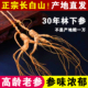 长白山人参约30年林下参林下野山参整枝健康礼品煲汤补品泡酒材料