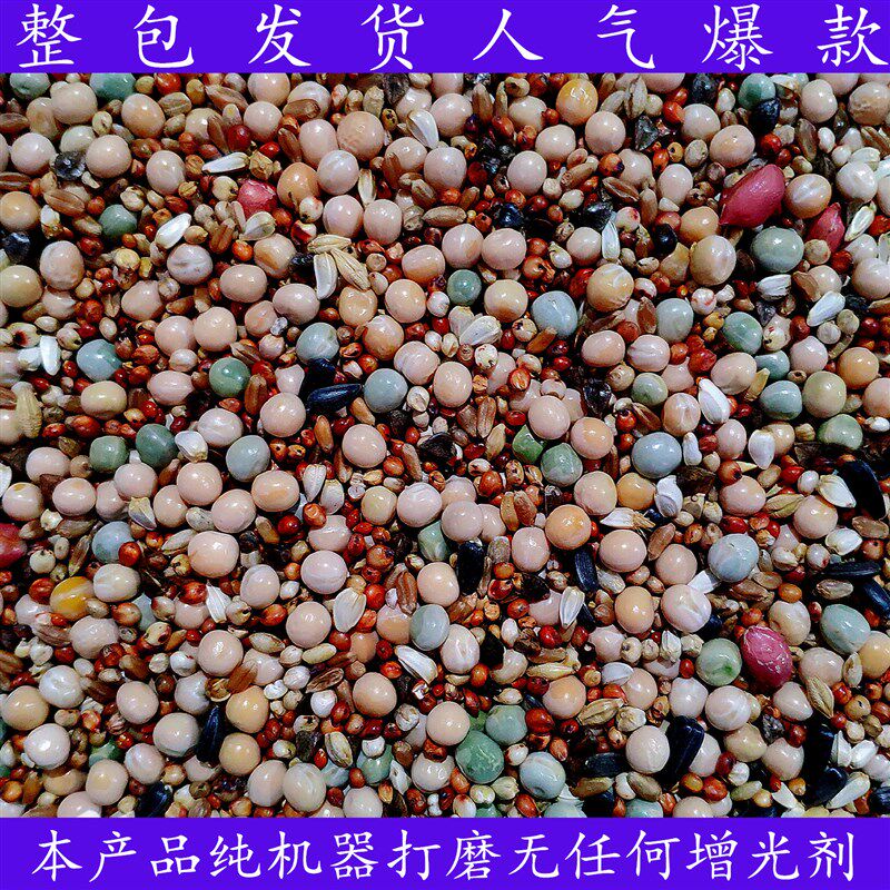 速发养良易德A级无玉米幼鸽鸽子粮赛鸽信鸽营粮食粮饲料50斤鸽料