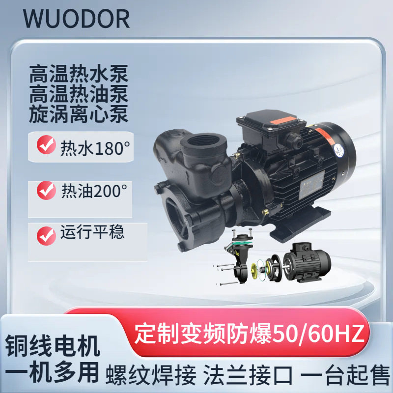 供应WM-30N热油泵2.2kw高温导热油循环泵50HZ415V卧式旋涡离心泵