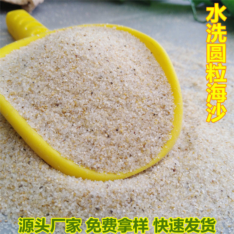 30-50目海沙水洗干净圆粒无尘沙幼儿园沙池白沙乐园游乐场沙坑沙