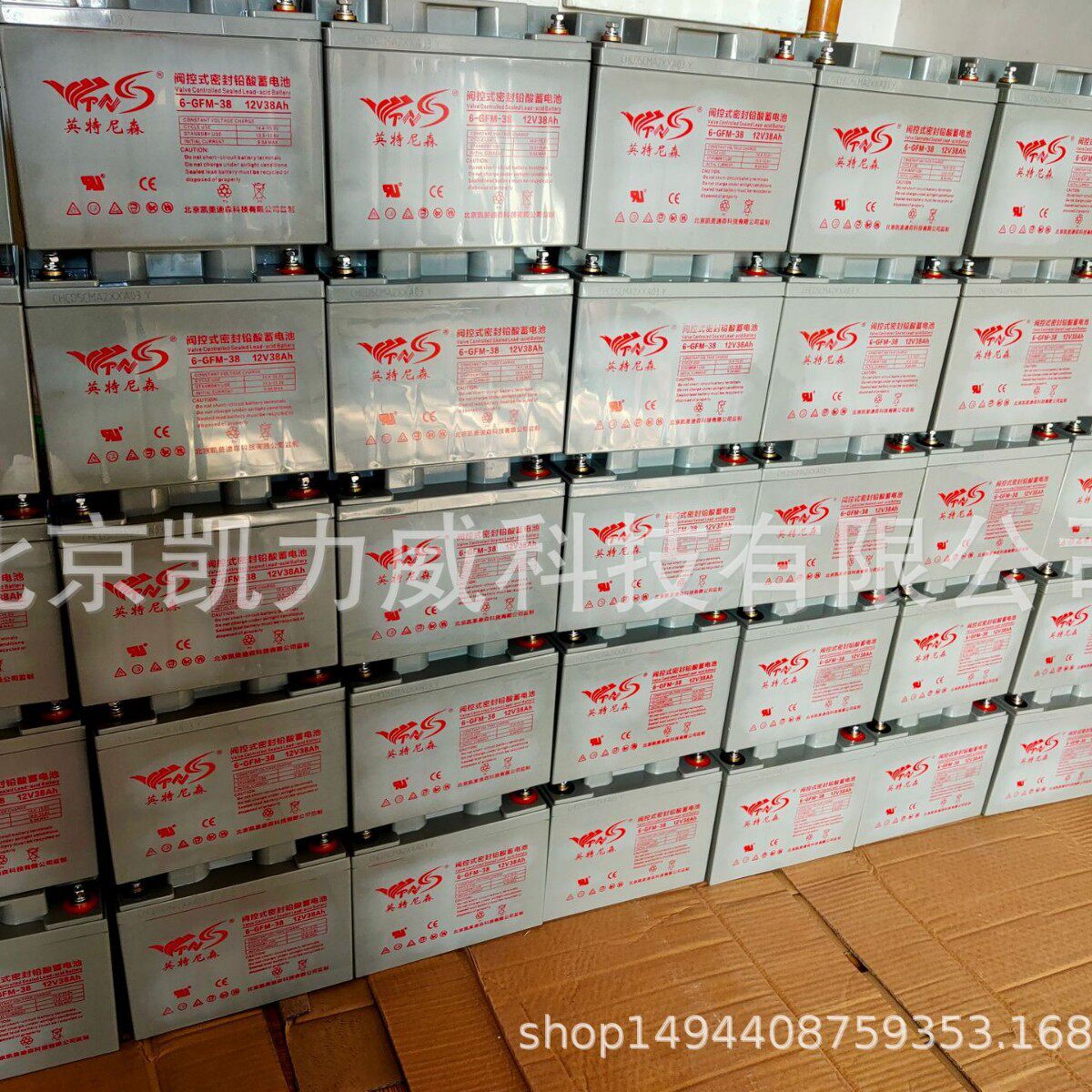 英特尼森蓄电池6-GFM-38免维护后备电池12V38AH耐久备用大容量