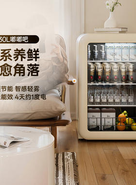 HCK哈士奇冰吧嘟嘟吧冷藏保鲜柜家用客厅小型饮料冰箱复古高颜值