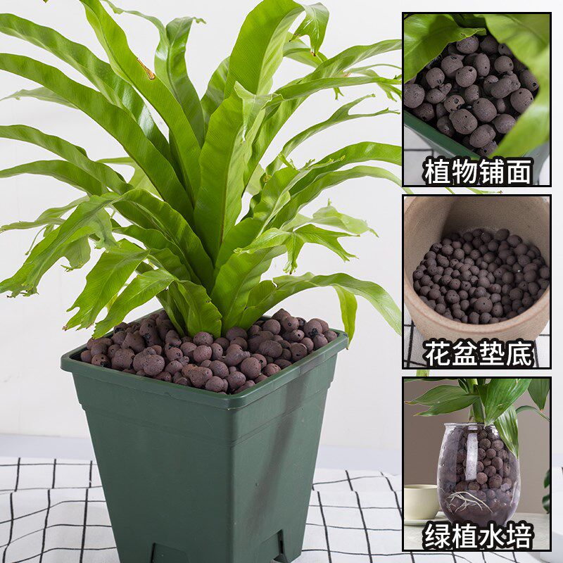 现货速发陶粒多肉花盆垫底透气轻质陶土粒回填卫生间养花水培铺面