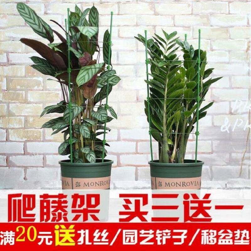 现货速发盆载花卉支撑杆藤类植物攀爬架室内西红柿爬藤架子花支架