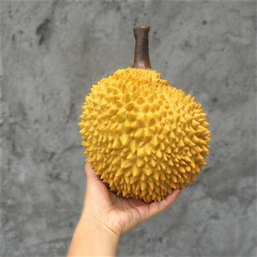 现货速发新榴莲猫山王模型假榴莲肉水果儿童玩具假榴莲橱窗装饰道