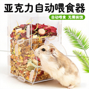 鼠类自动喂食器仓鼠金丝熊花枝鼠通用透明亚克力拼接式 喂食器用品
