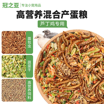 芦丁鸡专用饲料高产蛋