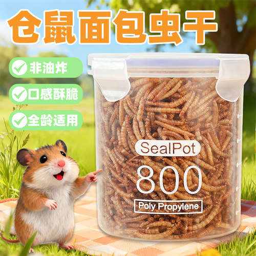 仓鼠面包虫干零食豪华主粮