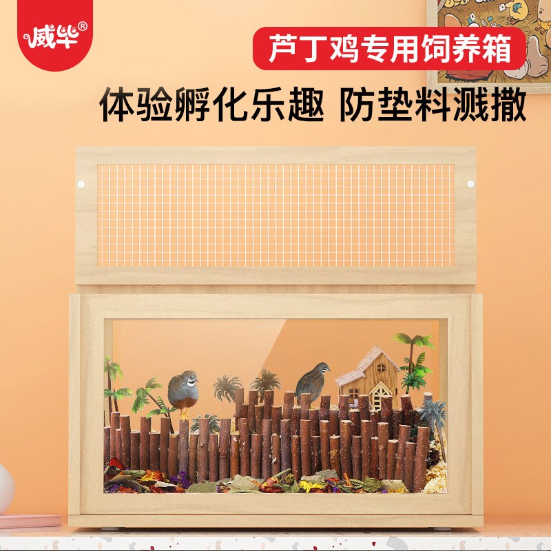 速发芦丁鸡饲养箱室内家用养殖笼亚克力房子木头小窝笼子造景用品