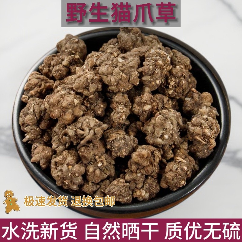 【特价野生】猫爪草猫爪草野生新鲜正品猫抓草水洗猫爪草精选