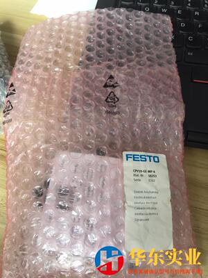 FESTO 18253