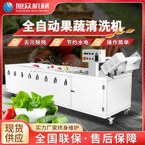 旭众 多功能全自动果蔬清洗机 气泡果蔬清洗机肉类海鲜厨房洗菜线