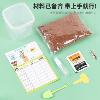 速发儿童种植小盆栽迷你绿植罐头杯幼儿园自种小番茄花农草莓植物