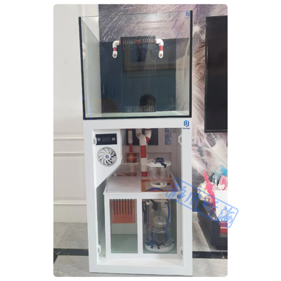 蓝闪电BlueLight专业海水珊瑚D缸超白玻璃橡木底柜配电箱底滤设计