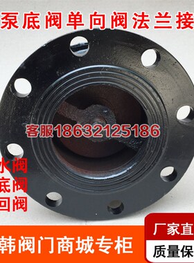 H42X-6d法兰底阀 单向阀止回阀铸铁水泵底阀DN50 80 100 150 200