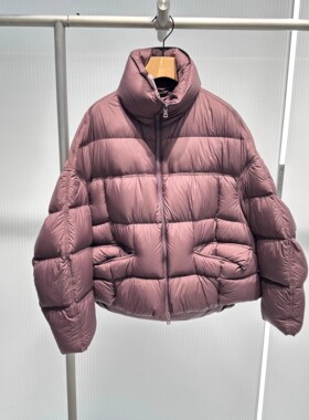 艾诺丝国内代购2025冬季新款百搭时尚立领休闲羽绒服女装AR004141