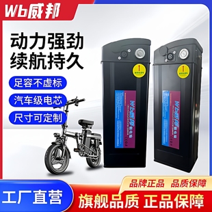 全新锂电池48V代驾车折叠电动车海霸款大容量通用