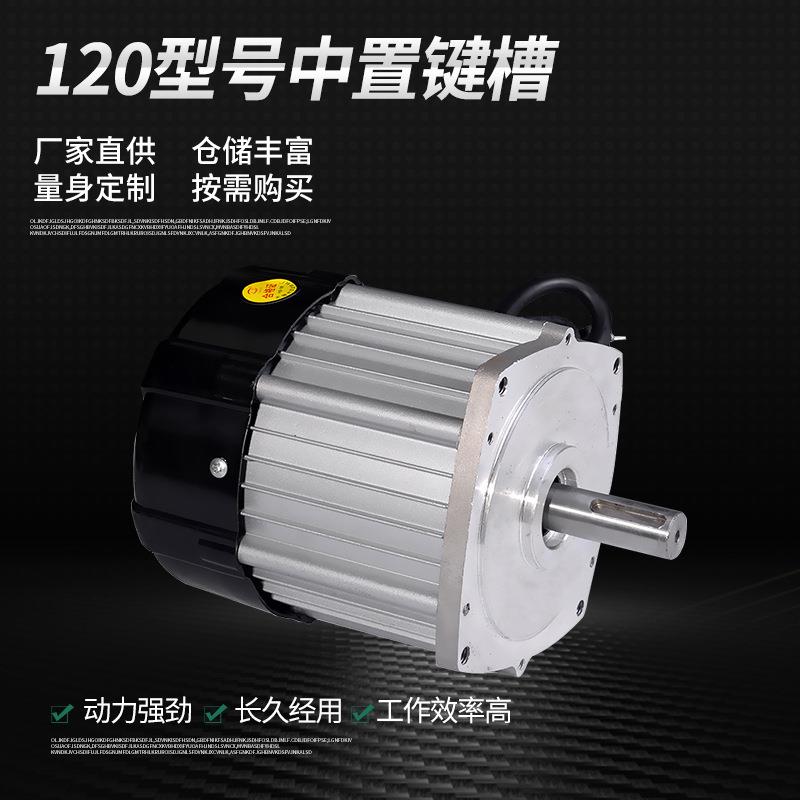 厂家直销无刷120型号差速电动车电瓶车直流无刷电机铜芯链条电机