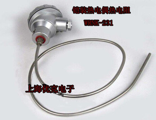 铠装热电偶 热电阻 温度传感器 感温探头 WRNK-231 K T J E PT100