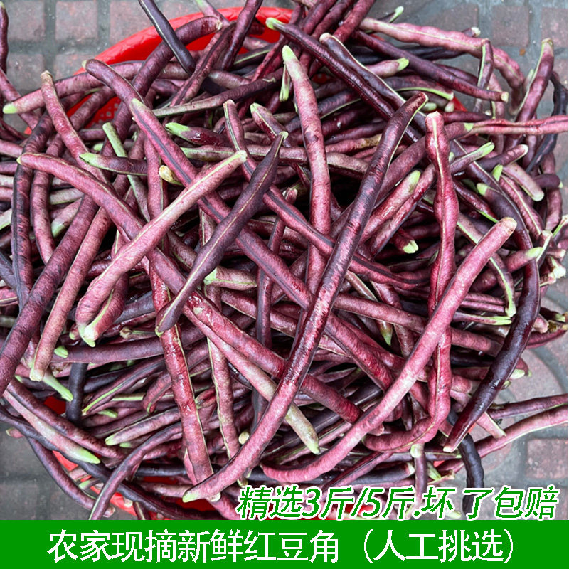 特产新鲜蔬菜农家自种湖北