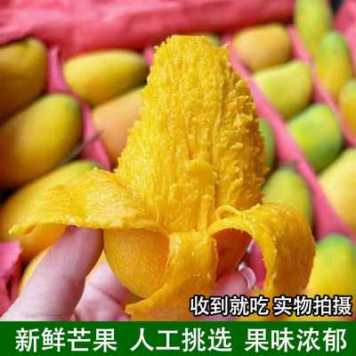 新鲜黄皮芒果精选孕妇水果薄皮香甜小台芒果水果产地直发小台农芒