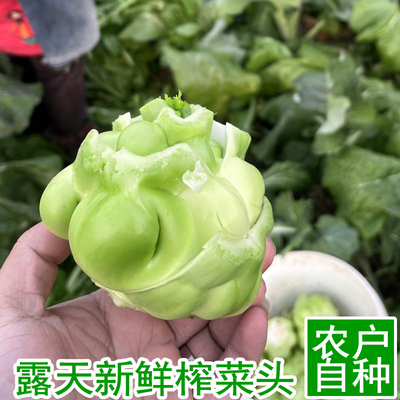 新鲜榨菜头青菜头菱角菜