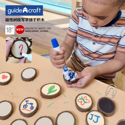 guidecraft磁性树枝写字积木