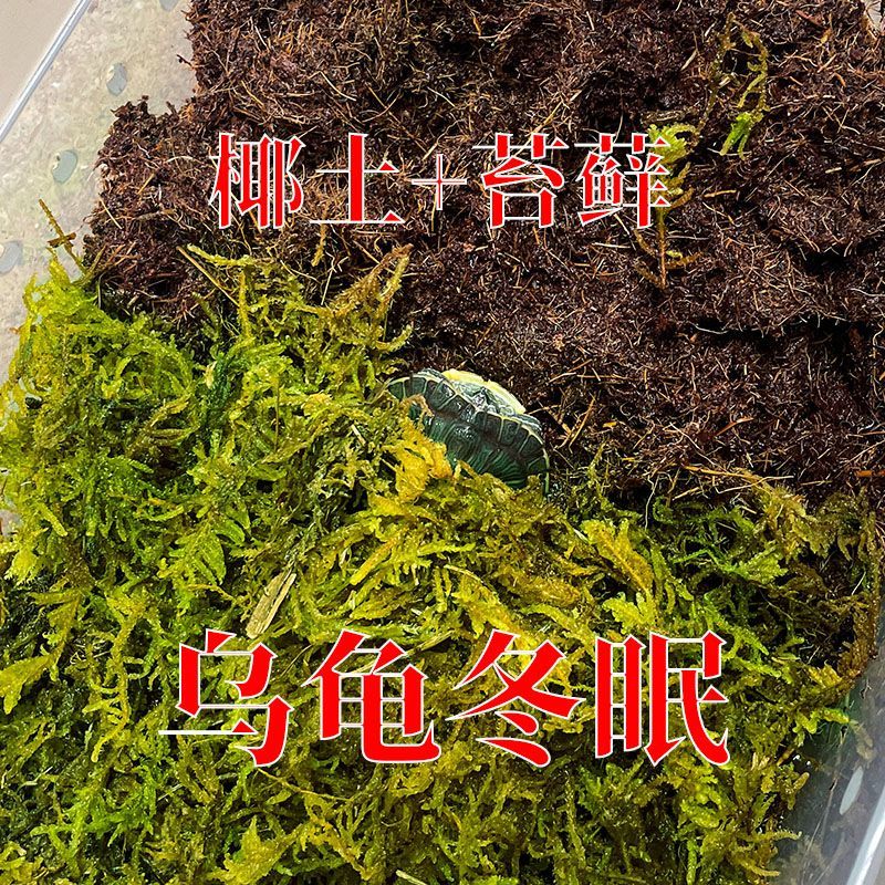 乌龟冬眠专用椰土免泡型垫材蜗牛蜘蛛蝎子角蛙陆龟冬眠保暖保湿用