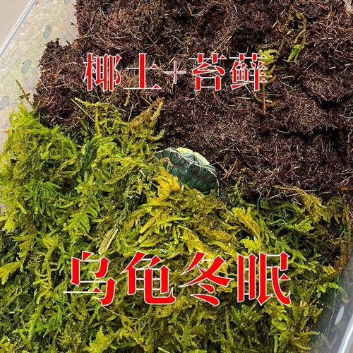 乌龟冬眠专用椰土免泡型垫材