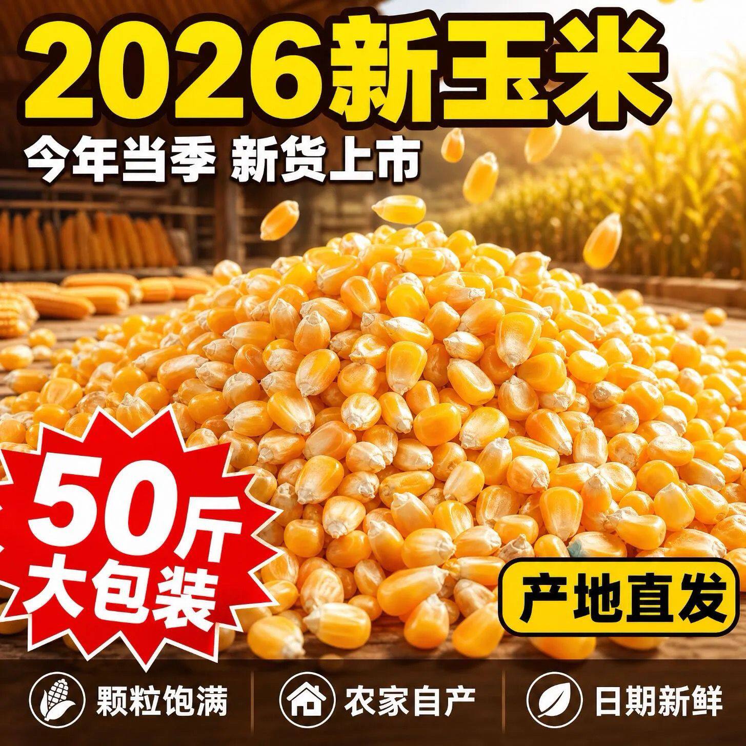养鸡仓鼠打窝钓鱼河南玉米粒批发