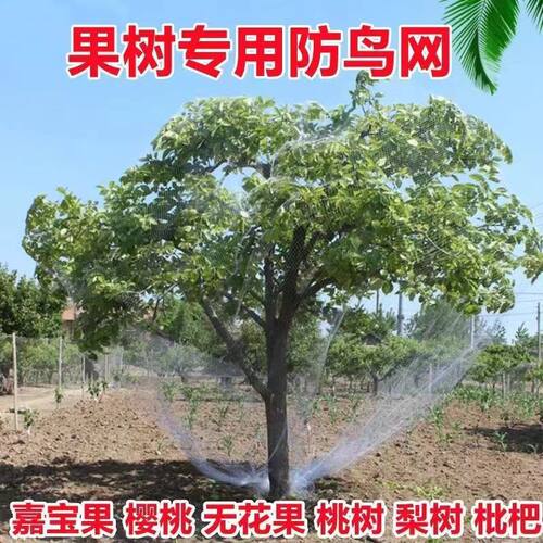 果树樱桃新款防鸟专用防护网罩子