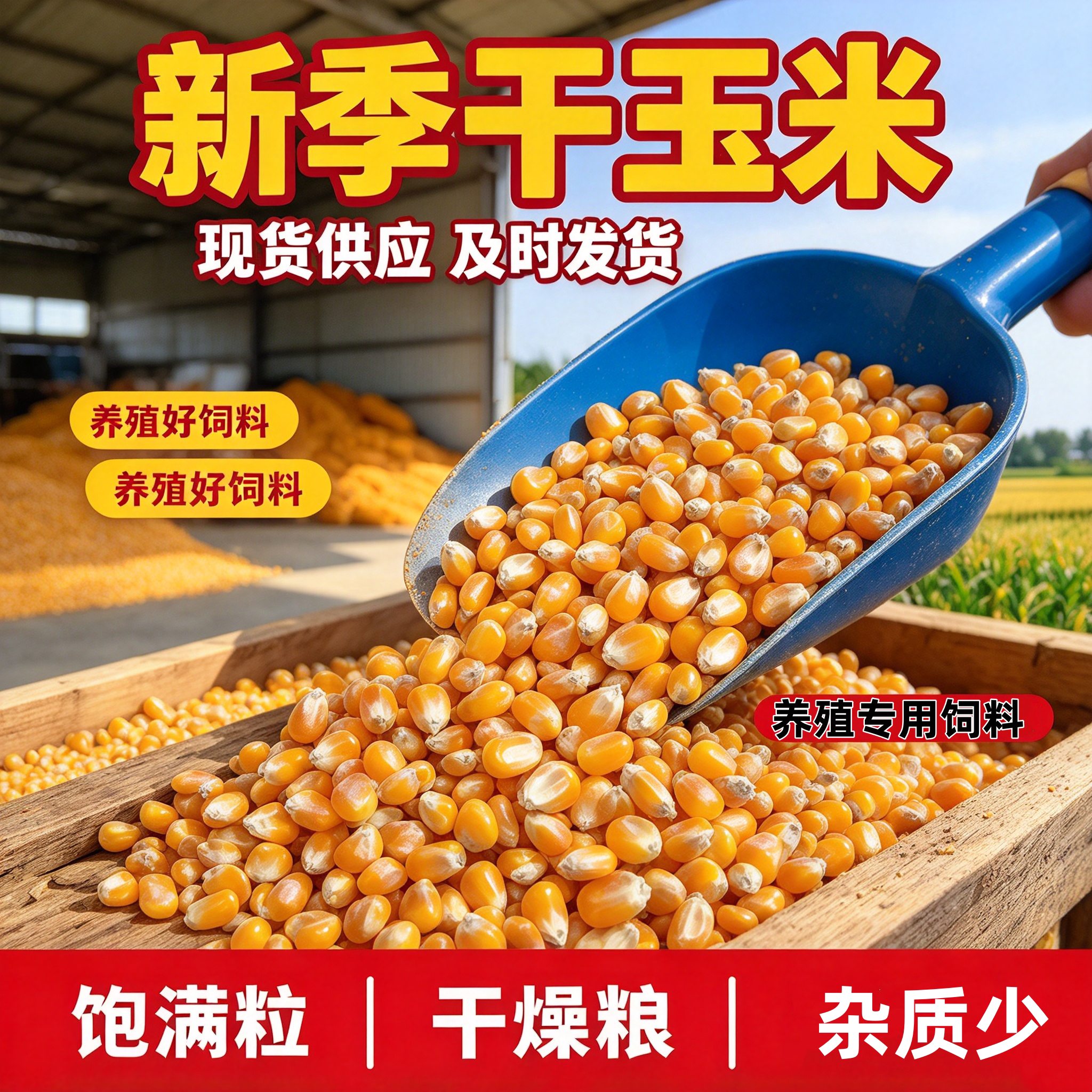 养鸡仓鼠打窝钓鱼河南玉米粒批发