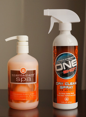 BestShot宠物洗护品优惠装 柑橘味沐浴露和干洗喷雾 满足日常需要