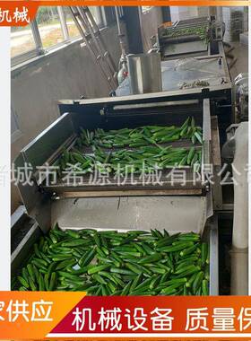 泡蔬菜水果气清洗机XDT全自动清果蔬洗机 喷淋式玉米秋葵清气泡洗