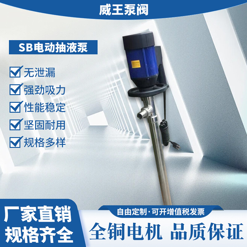 电动抽液泵厂家促销SB-8不锈钢抽液插桶泵方便快捷抽油泵