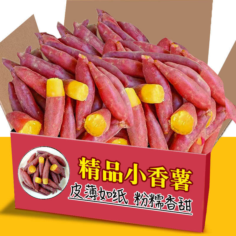 板栗红薯新鲜小香薯旗舰店番薯地瓜蜜薯小红薯板栗薯非临安天目山