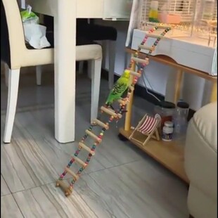 鹦鹉秋千爬梯云梯虎皮玄凤鸟笼玩具牡丹配件啃咬吊环攀花椒木解闷