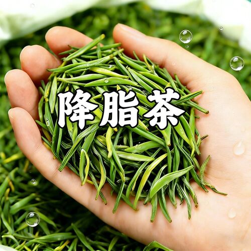 【正品保证】降血脂茶三七杜仲银杏叶非治疗脑梗中老年喝什么茶