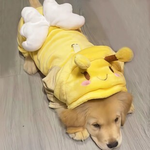 小金毛专用狗狗衣服幼犬四脚秋冬天冬季加绒边牧拉布拉多两三个月